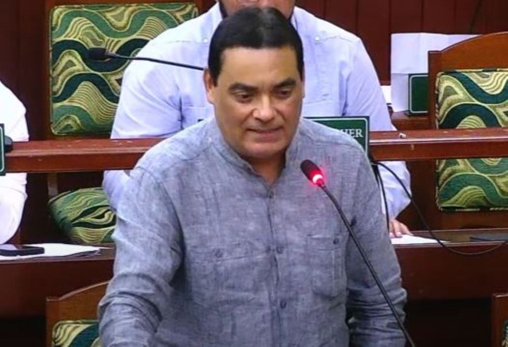 Francis Fonseca speaking at a microphone from the benches of the National Assembly of Belize.